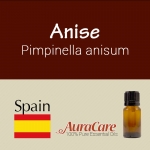 Anise - Pimpinella anisum