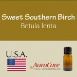 Birch, Sweet Southern - Betula lenta