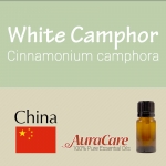 Camphor, White - Cinnamonium camphora