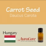 Carrot Seed - Daucus Carota